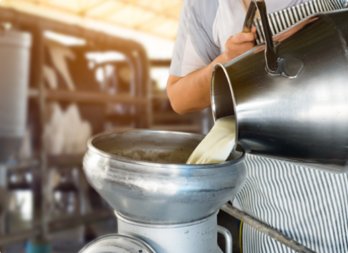 Person pouring milk from a metal container into a large metal vat in a dairy setting